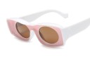 Ladies' Sunglasses E1748 4
