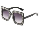 Ladies' Sunglasses E1766 2