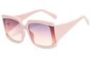 Ladies' Sunglasses E1782 3
