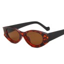 Ladies' Sunglasses E1801 4