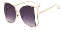 Ladies' Sunglasses E1804 6