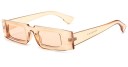 Ladies' Sunglasses E1813 7