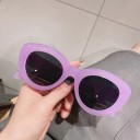 Ladies' Sunglasses E1814 5