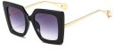 Ladies' Sunglasses E1837 2