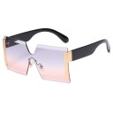 Ladies' Sunglasses E1841 2