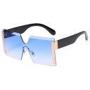 Ladies' Sunglasses E1841 3