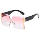 Ladies' Sunglasses E1841 4