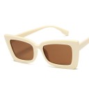 Ladies' Sunglasses E1896 1
