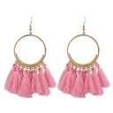 Ladies' Tassel Drop Earrings G829 9