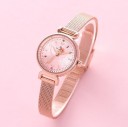 Ladies' Watch E2529 6