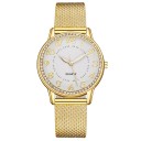 Ladies' Watch E2567 4