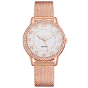 Ladies' Watch E2567 2