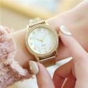Ladies' Watch E2567 6