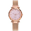 Ladies' Watch T1502 6