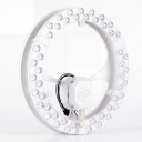 Lampada da soffitto LED 48 W Dimming continuo e cambio colore Telecomando Modulo circolare di diametro 25 cm Alluminio Per stanze da 15 a 20 m2 2