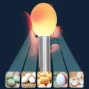 Lâmpada LED 10x1,5 cm para iluminação de ovos Ferramenta de incubação para ovos de galinha e codorniz Mini incubadora Lanterna em aço inoxidável 4