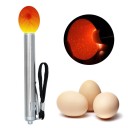Lámpara LED de 10 x 1,5 cm para iluminación de huevos, herramienta de incubación para huevos de gallina y codorniz, mini incubadora de acero 2