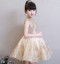 Lány ruha N464 2