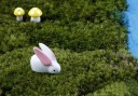 Lapin décoratif pour le jardin J559 14