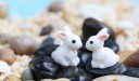 Lapin décoratif pour le jardin J559 17