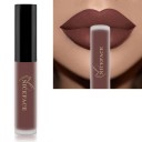 Lápiz labial líquido mate aterciopelado con efecto resistente al agua Brillo de labios de larga duración Lápiz labial aterciopelado resistente 10