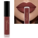 Lápiz labial líquido mate aterciopelado con efecto resistente al agua Brillo de labios de larga duración Lápiz labial aterciopelado resistente 11