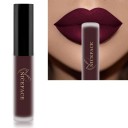 Lápiz labial líquido mate aterciopelado con efecto resistente al agua Brillo de labios de larga duración Lápiz labial aterciopelado resistente 13