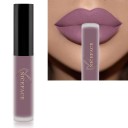Lápiz labial líquido mate aterciopelado con efecto resistente al agua Brillo de labios de larga duración Lápiz labial aterciopelado resistente 16
