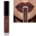 Lápiz labial líquido mate aterciopelado con efecto resistente al agua Brillo de labios de larga duración Lápiz labial aterciopelado resistente 19