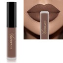 Lápiz labial líquido mate aterciopelado con efecto resistente al agua Brillo de labios de larga duración Lápiz labial aterciopelado resistente 4