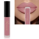 Lápiz labial líquido mate aterciopelado con efecto resistente al agua Brillo de labios de larga duración Lápiz labial aterciopelado resistente 7