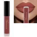 Lápiz labial líquido mate aterciopelado con efecto resistente al agua Brillo de labios de larga duración Lápiz labial aterciopelado resistente al agua 9