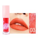 Lápiz labial líquido resistente al agua con vitamina E Color intenso Aplicación suave No se corre Aspecto natural Fácil de aplicar 5 ml 4