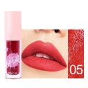 Lápiz labial líquido resistente al agua con vitamina E Color intenso Aplicación suave No se corre Aspecto natural Fácil de aplicar 5 ml 6
