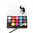 Large Palette of 15 Colours for Face and Body 4