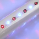 Laserlaite emättimen lihasten kiinteyttämiseen ja kollageenin uudistamiseen, jossa on sininen valo ja EU-virtalähde. 5