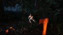 Le compte PS4 The Forest 2