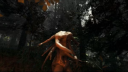 Le compte PS4 The Forest 4