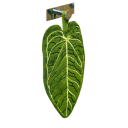 Leaf-Shaped Absorbent Hand Towel Hanging Reinforced Kitchen and Bathroom Towel Green Decorative Accessory 3