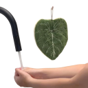 Leaf-Shaped Hanging Hand Towel Absorbent Reinforced Textile Towel Green Kitchen and Bathroom Accessory for Hanging 5