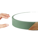 LED Ceiling Light with Wooden Element 48 W Warm White Circular Ceiling Lighting Modern Round LED Panel 50 x 5 cm 9