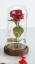 LED izzó vörös rózsa egy üvegedényben 5