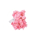 LED ljusslinga 2 m 20 LED Rosa körsbärsblommor Konstgjorda blommor Dekorativ garland på batteri för sovrum bröllop fest och juldekoration 4