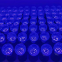 LED UV-pære 12W E27 399-400nm sort lys til UV-reaktive dekorationer, fluorescensdetektion, festbelysning, kunstprojekter AC 85-265V 5