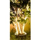 LED venkovní reflektor kolem stromu vodotěsný 12 W 220 V vnitřní průměr 310 mm s teplým světlem na zahradní osvětlení stromů a trávníku 2