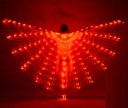 LED Wings for Belly Dancing 2