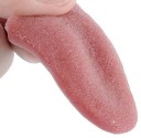 Lengua falsa realista, accesorio mágico, herramienta de broma, lengua artificial flexible, accesorio de Halloween, lengua elástica, 5,5 x 3,8 x 1,2 cm 2