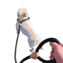 Lesă ajustabilă pentru câini cu zgardă 2 în 1 și buclă pentru mână Dimensiune 0,6 x 150 cm Limitator glisant și inel metalic pe bucla de strângere 2