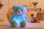 Leuchtender LED-Teddybär 32 cm 2