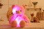 Leuchtender LED-Teddybär 32 cm 5